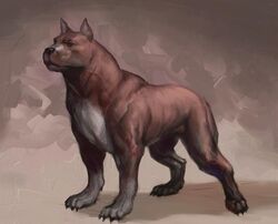 Dog concept art