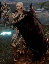 Hakkoniten-Verteidiger