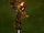 Stab des Drachen