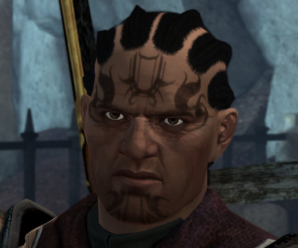 dragon age heroes lore dragon age heroes lore
