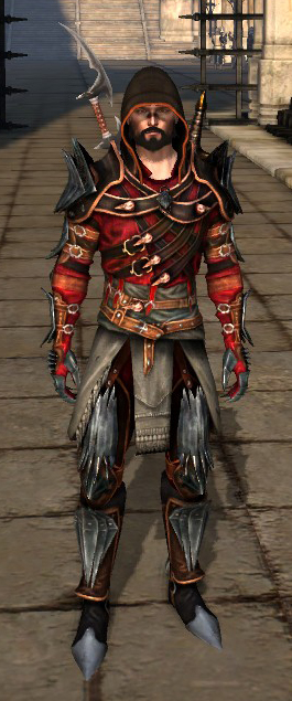 Mantle of the Champion (rogue), Dragon Age Wiki