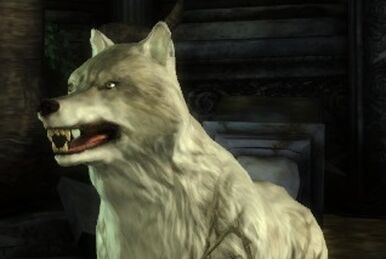 Witherfang, Dragon Age Wiki