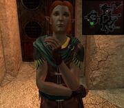 DA2 Elven Vintner quest Bottled Scar 5 34 Exalted