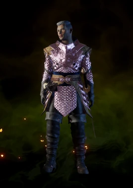 Дивная кольчуга мастера боя (Инквизитор)