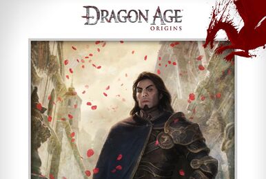 dragon age: origins - romanceable companions Photographic Print for Sale  by kalidels