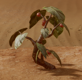 Dragonthorn