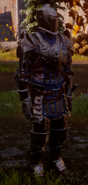 A Grey Warden Warrior