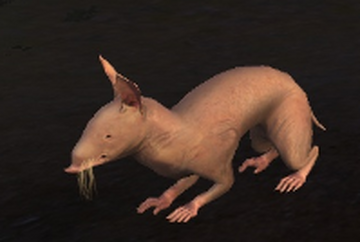 Cute Nug, Dragon Age Wiki