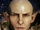 Solas