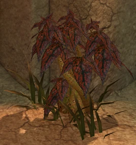 Spindleweed (screenshot)