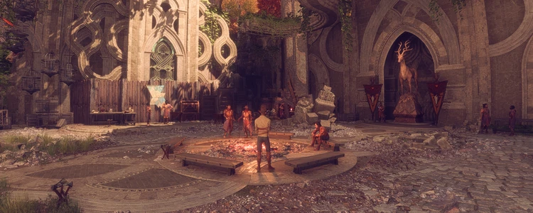 Schleierspringer Banner