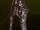 Waffenplan: Dolch des Drachen