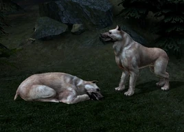 ПотерГончие