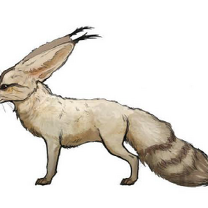 Fenek Dragon Age Wiki Fandom