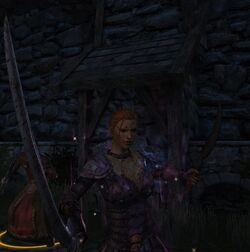 Leliana Dual Wielding