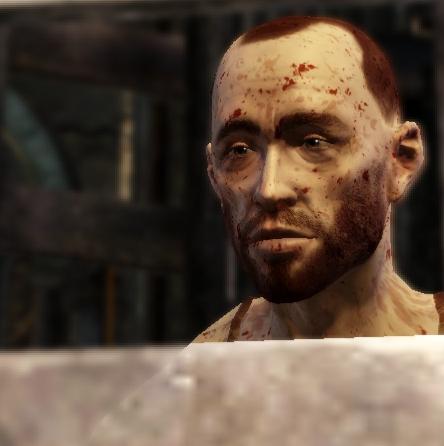 dragon age origins camp chest