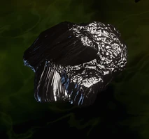 Schlangenstein-Studie