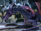 Drachen