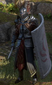 Templar Defender in Dragon Age: Inquisition