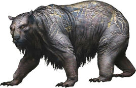 Greatbear concept