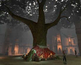 City Elf Origin, Dragon Age Wiki