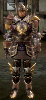 Storm Age era Warden-Commander armour