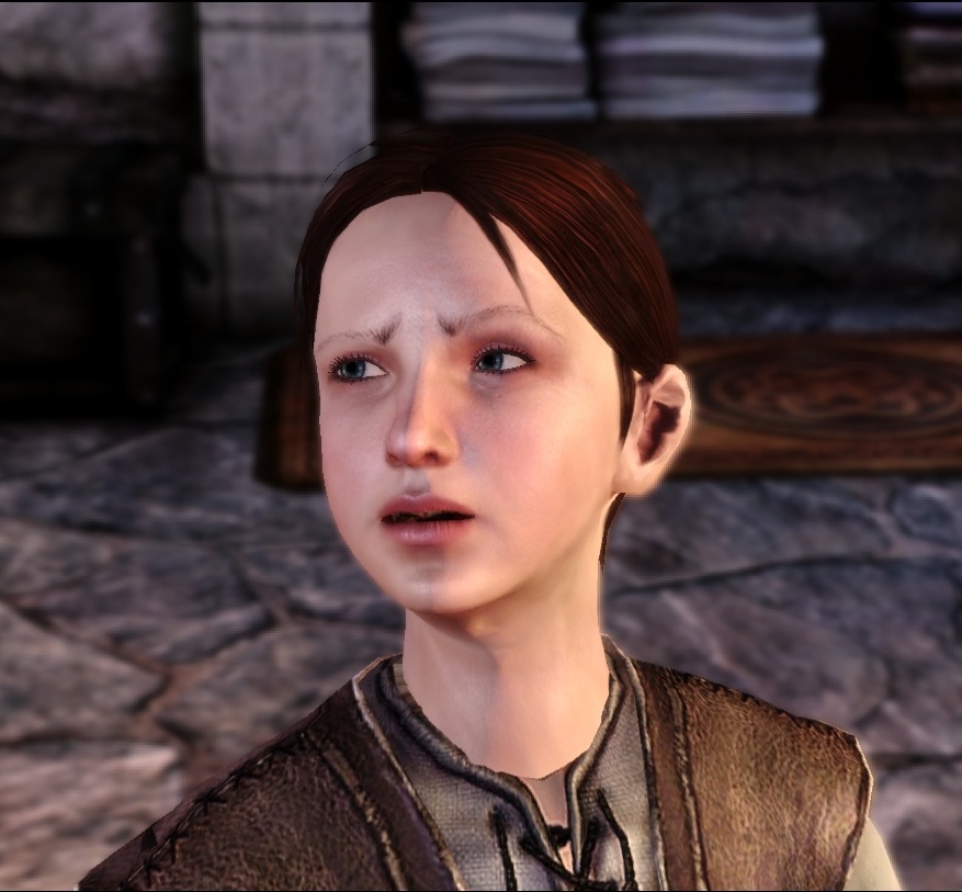 The Human Noble Origin - Dragon Age Origins