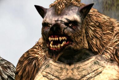 Witherfang, Dragon Age Wiki