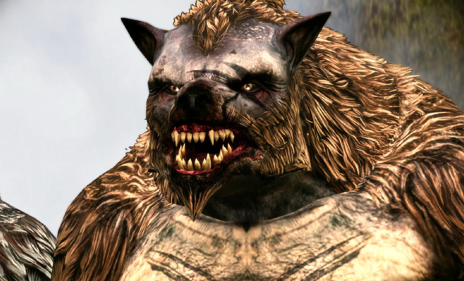 Werewolf, Dragon Age Wiki