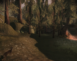 Twisted Forest
