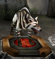 A wolf in Heroes of Dragon Age
