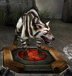 Werewolf, Dragon Age Wiki