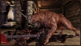 Screens dog2 1600x900