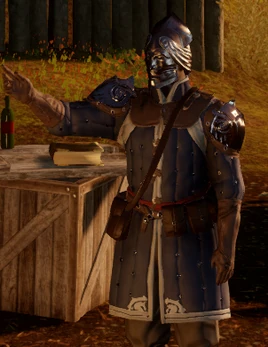 Havard-Pierre d'Amortisan