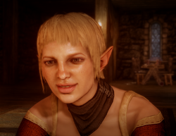 A Woman Who Wants for Nothing, Dragon Age Wiki