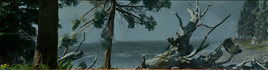 Storm Coast banner