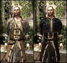 DA2 Renegade's Coat - Before and After Comparison - Anders companion armor