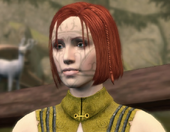 Maren, keeper of the halla in the clan of the Dalish Elf Origin (complex version)