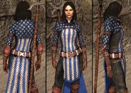 DA2 Bethany's Grey Warden Robes - companion armor