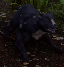 Мабарі в Dragon Age: Інквізиція