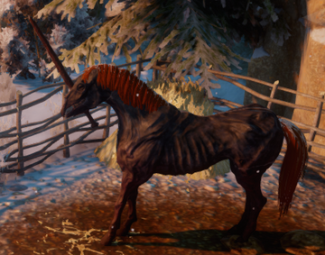 Bogs unicorn discount