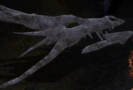 The Lost Dragon Bones