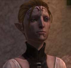 Arianni, Feynriel's mother in Dragon Age II (complex version, heavily faded on cheeks)