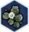 Dawn Lotus icon