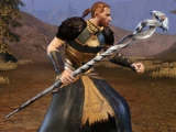 Magister's Staff