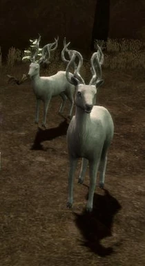 Halla from Dragon Age: Origins.