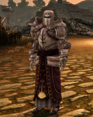 Alternate Templar Regalia in Dragon Age: Origins