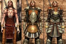 DA2 Aveline Companion Armor Comparison