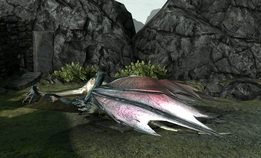 A slain mature dragon.