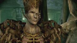 Архитектор | Dragon Age Wiki | Fandom